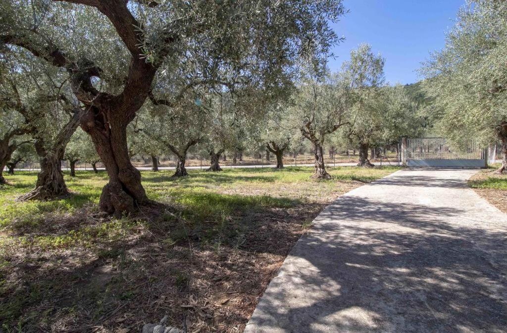 Manousi 2 - First Floor Villa Mystras Exterior photo